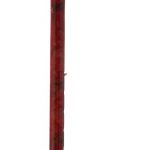 wandelstok van Carbon