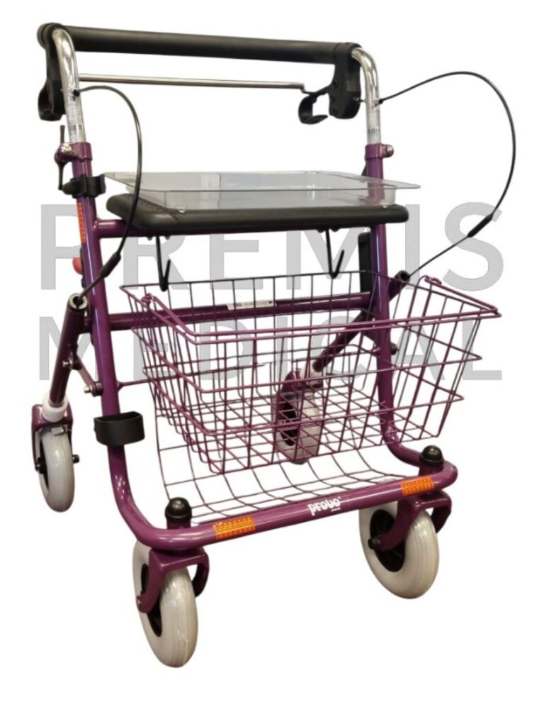 Paarde rollator met duwbeugel en stang onder